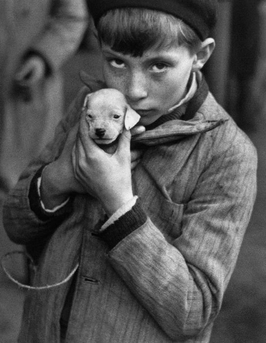 Andr Kertsz - A kiskutya, 1926